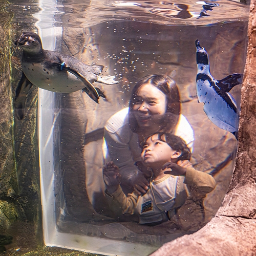 주렁주렁동물원 동탄점