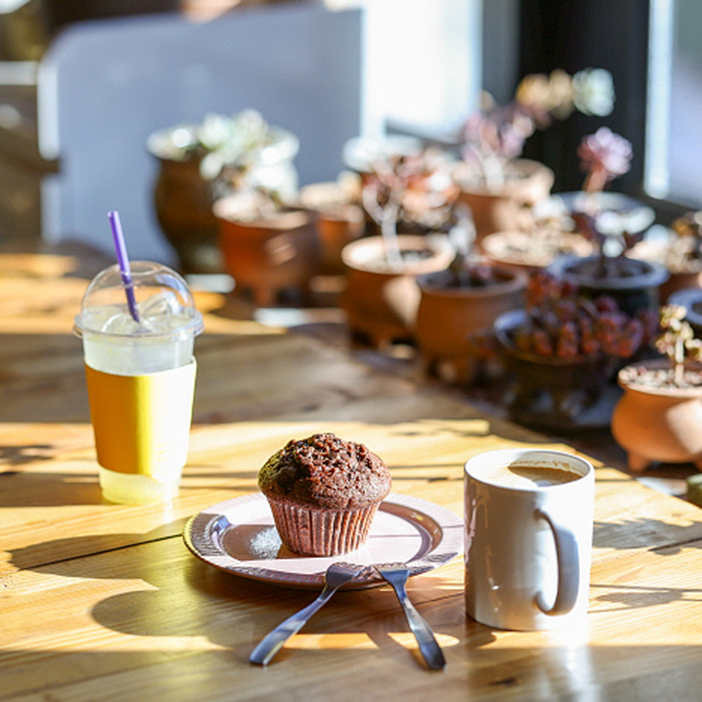 평창보타닉가든