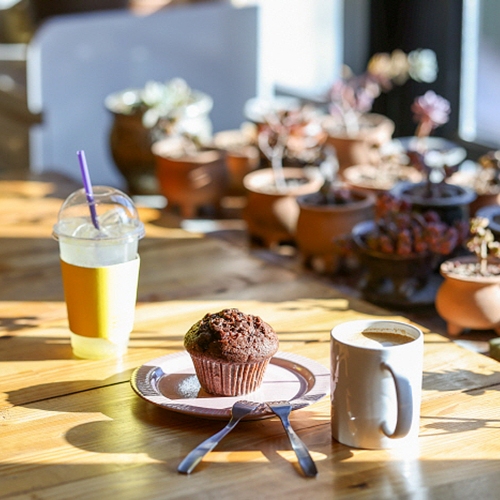 평창보타닉가든