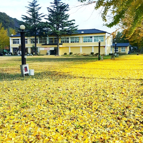 잉카마야박물관&캠핑장