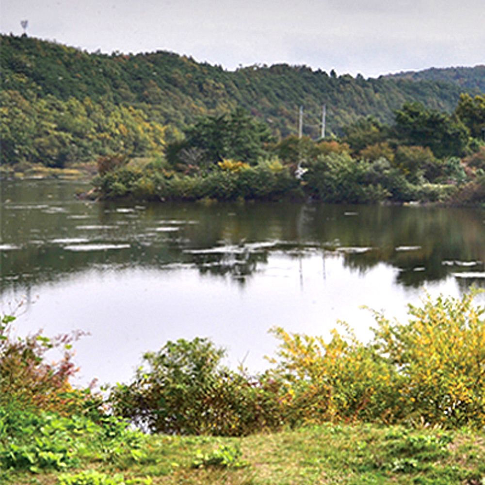 경상북도 의성군 구천면사무소