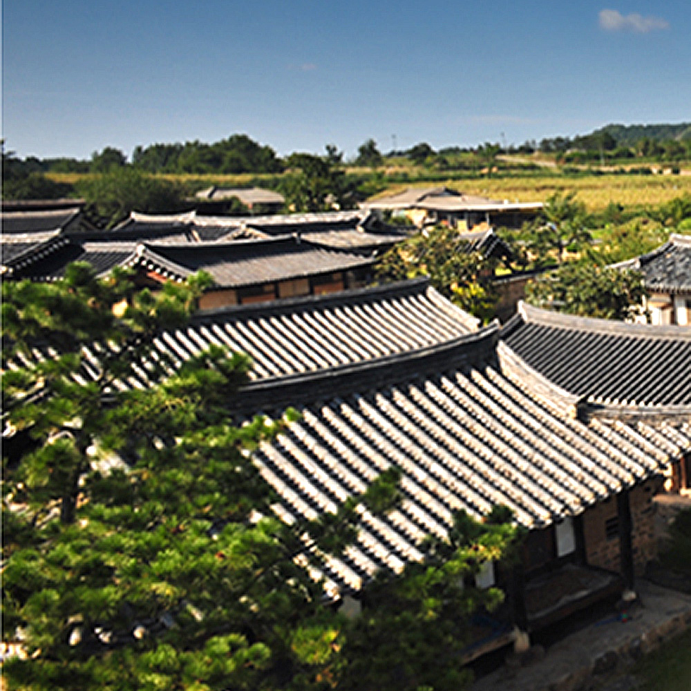 경상북도 의성군 금성면사무소