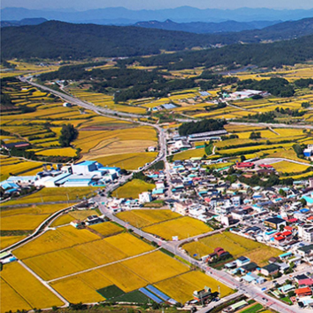 경상북도 의성군 다인면사무소