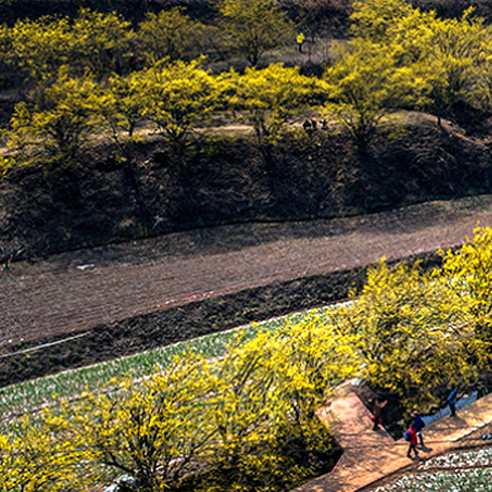 경상북도 의성군 사곡면사무소