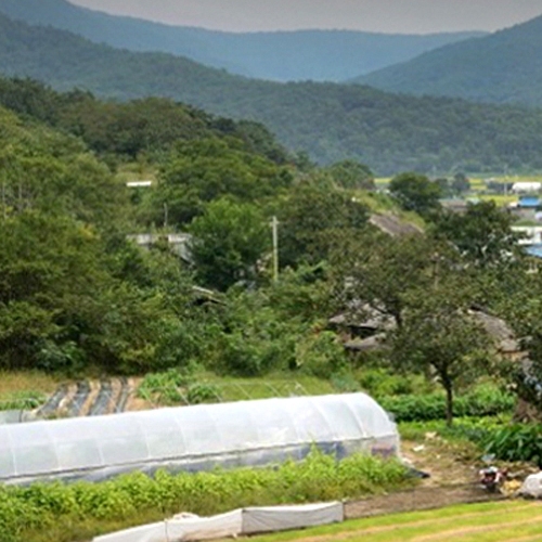 경상북도 의성군 안사면사무소