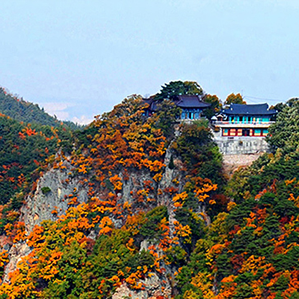 경상북도 포항시 남구 대송면행정복지센터