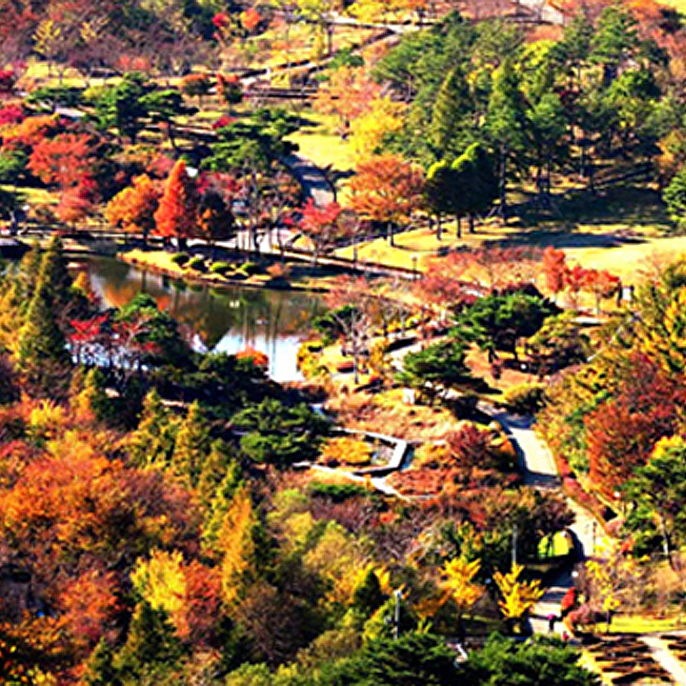 경상북도 포항시 북구 죽장면행정복지센터