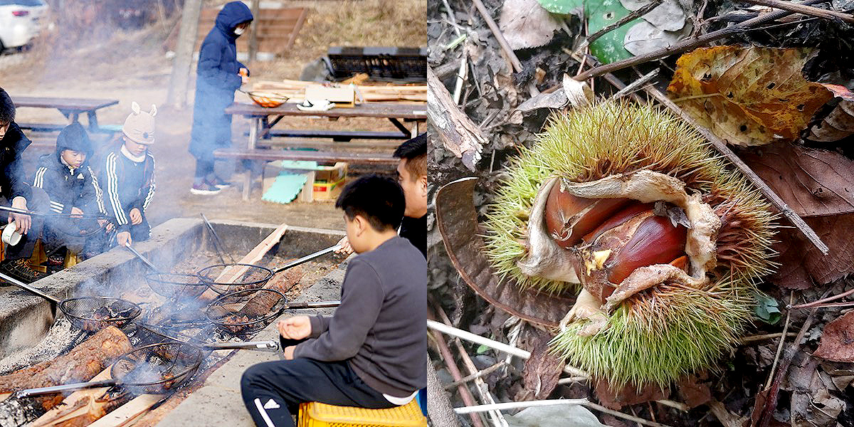 5be57df3b5578ed3c3b8752a69c3912e_1605749454_48.jpg 5be57df3b5578ed3c3b8752a69c3912e_1605749454_48.jpg