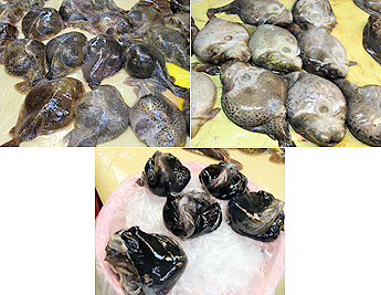 7397f17de491c14d85b1f4c3450d70a2_1620106942_78.jpg 7397f17de491c14d85b1f4c3450d70a2_1620106942_78.jpg