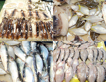 7397f17de491c14d85b1f4c3450d70a2_1620112337_79.jpg 7397f17de491c14d85b1f4c3450d70a2_1620112337_79.jpg