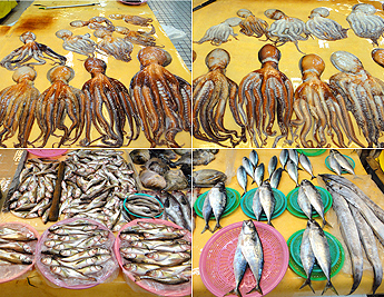 7397f17de491c14d85b1f4c3450d70a2_1620114068_64.jpg 7397f17de491c14d85b1f4c3450d70a2_1620114068_64.jpg