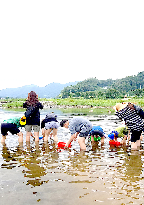 농작물경작체험