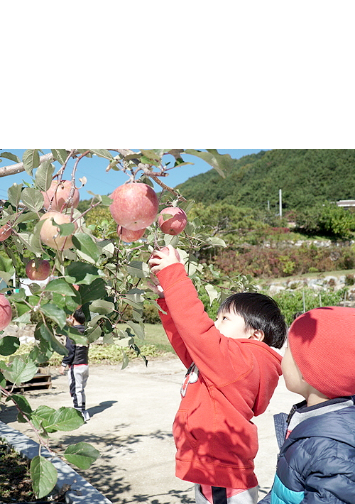 자연생태체험